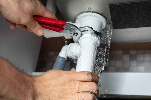 Best Carpet water damage restoration  in Menasha, WI