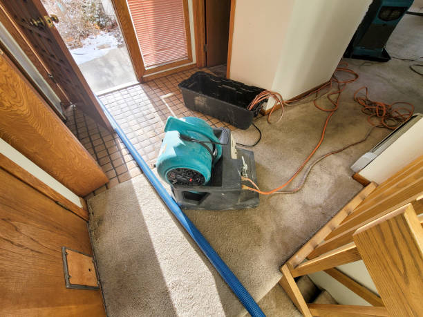 Best Local water damage restoration  in Menasha, WI
