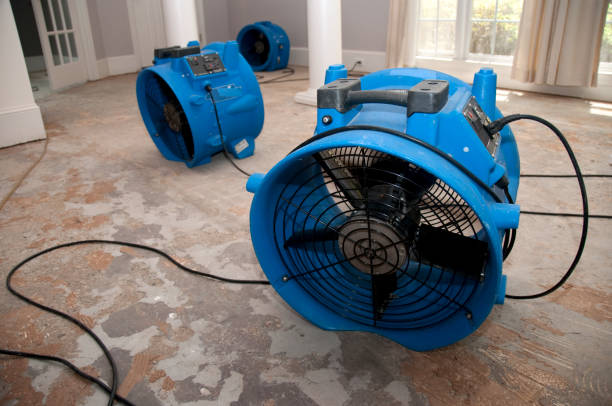 Best Mold removal after water damage  in Menasha, WI