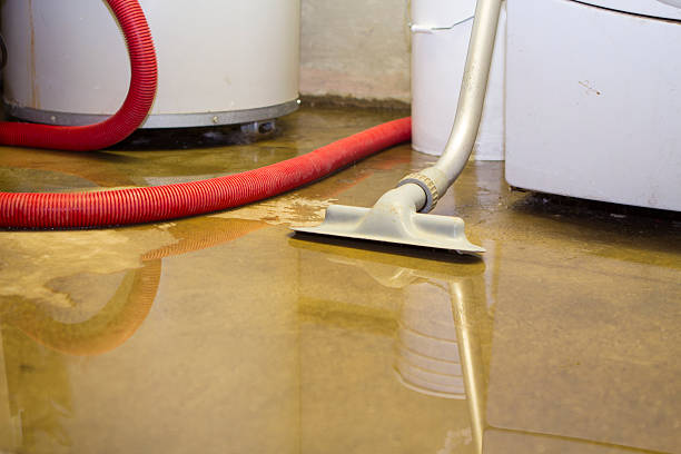 Water damage restoration mold remediation in Menasha, WI