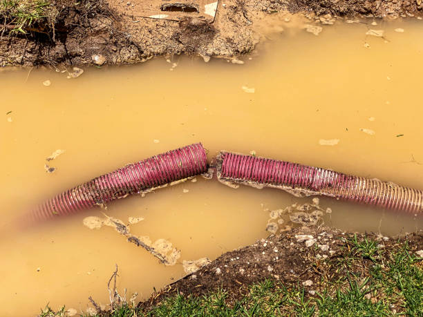 Best Mold removal after water damage  in Menasha, WI