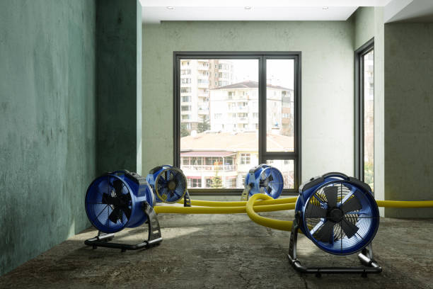 Best Flood restoration services  in Menasha, WI